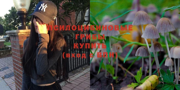 МДМА Няндома