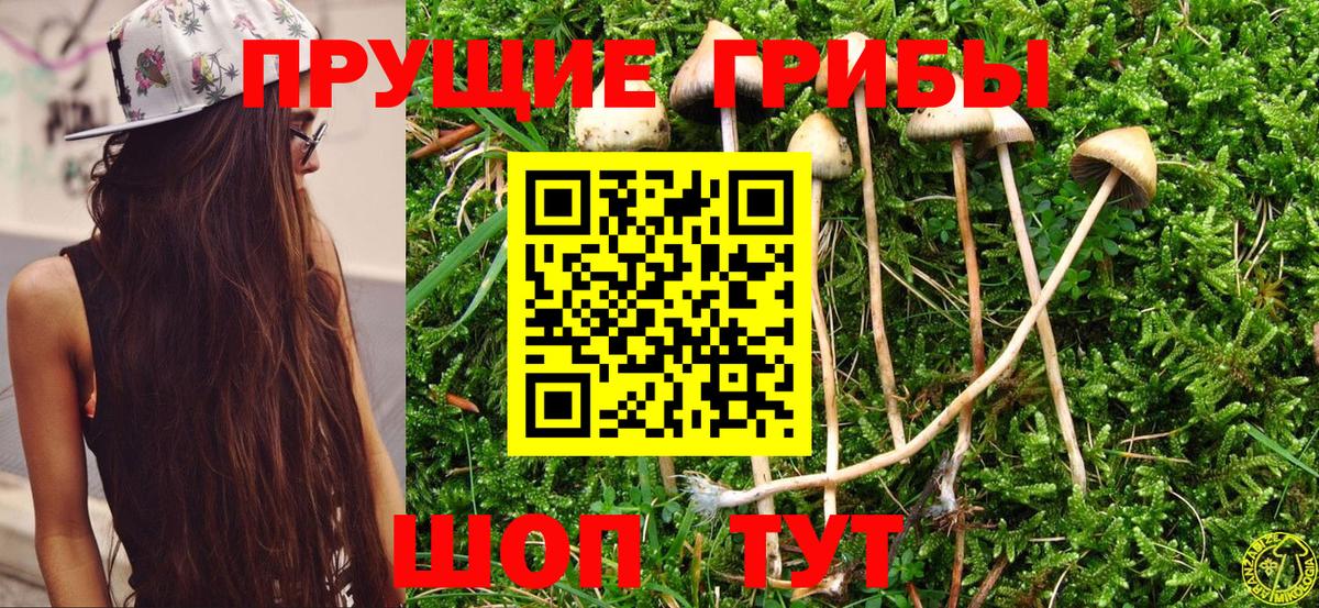 Галлюциногенные грибы Magic Shrooms  Вход с VPN  Сорочинск 