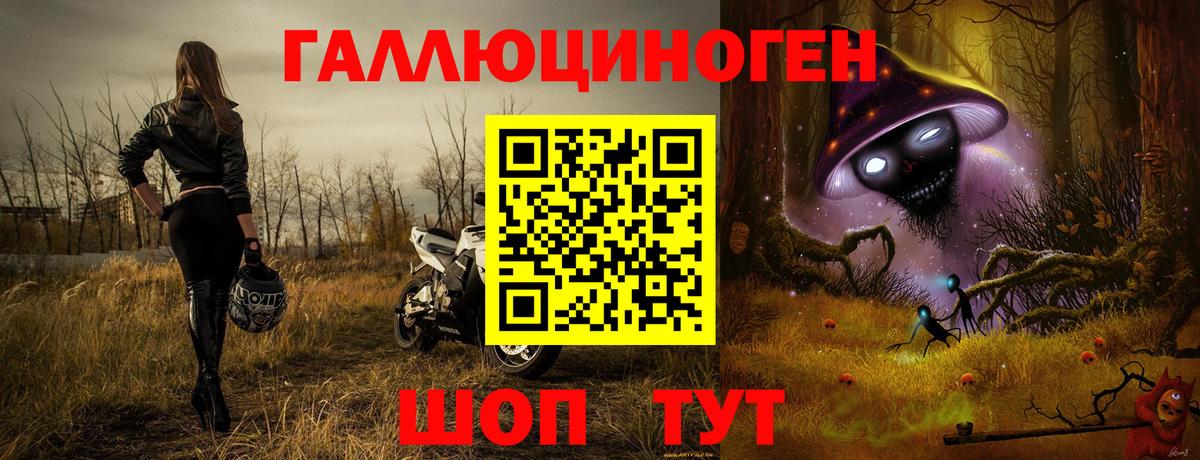 Галлюциногенные грибы Cubensis Сорочинск